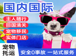 上海航空托运国际宠物托运 【国